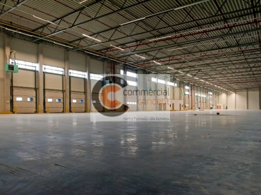 Budynek użytkowy Kraków