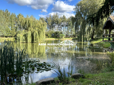 Działka siedliskowa Janowo