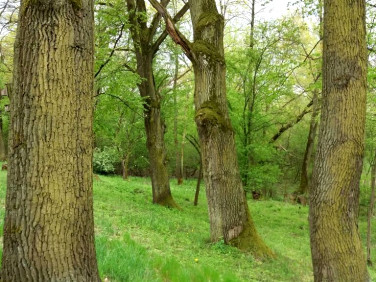 Działka budowlana Józefów