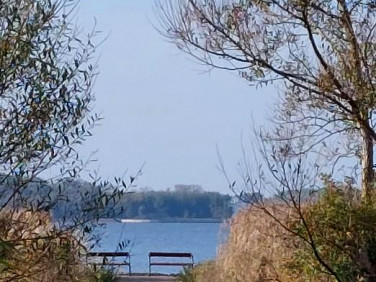 Działka rekreacyjna Wrzosowo