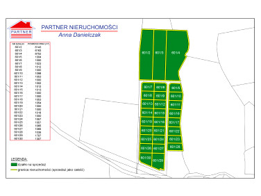 Pusta działka Silna