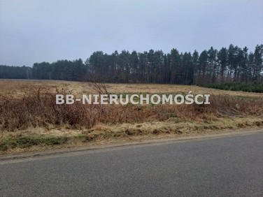 Działka budowlana Woryty