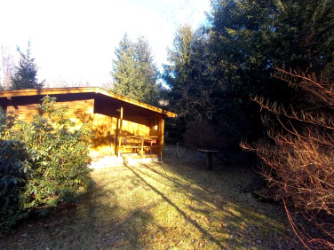 Działka budowlana Sękocin Stary sprzedam