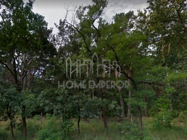 Działka inwestycyjna Józefów