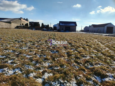 Pusta działka Sadowie