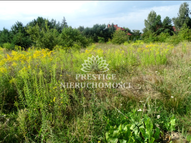 Działka budowlana Niemcz