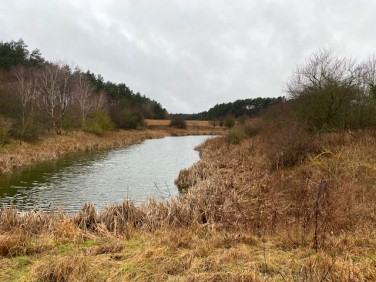Działka budowlano-rolna Wilkowo
