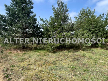 Pusta działka Sochonie