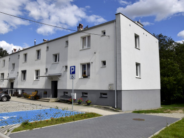 Mieszkanie przy lesie