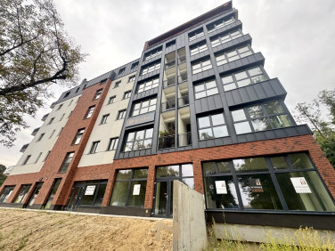 Lokal Gorzów Wielkopolski