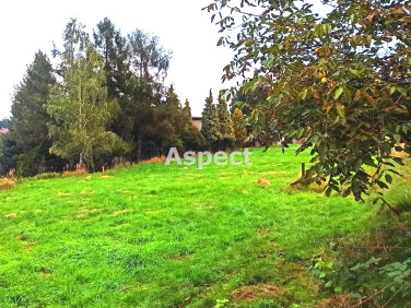 Działka budowlana Rybnik