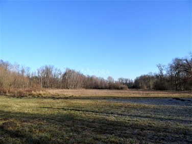 Pusta działka Chwałowice