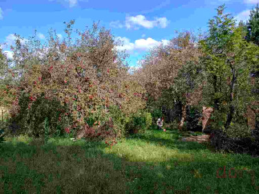 Działka budowlana Kielce