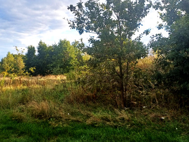 Działka budowlano-rolna Szczepanów