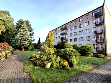 Mieszkanie Oświęcim