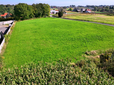 Działka usługowa Wodzisław Śląski