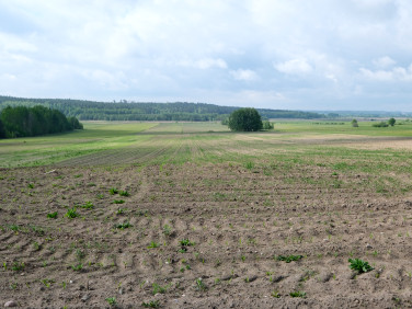 Działka budowlano-rolna Studzianki