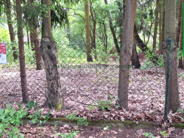 Działka rolna Lipowo