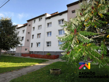 Mieszkanie przy lesie