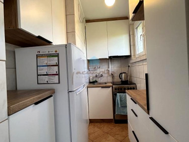 Mieszkanie Gniezno wynajem