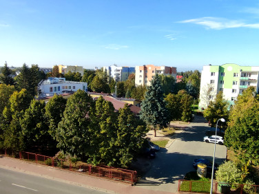 Mieszkanie Biała Podlaska