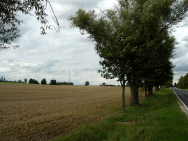 Działka Pobiedziska