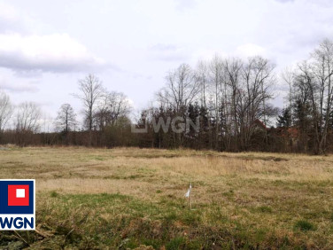 Działka Stara Kopernia