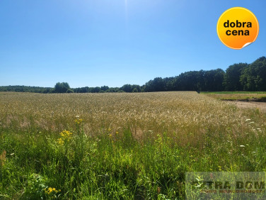 Działka budowlana Goleniów