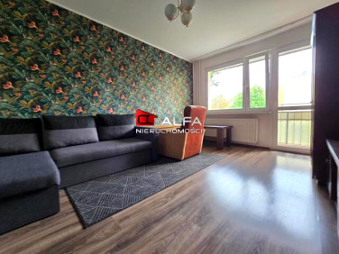 Mieszkanie Świdnica