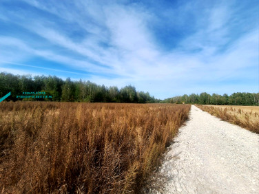 Działka budowlana Kamionka