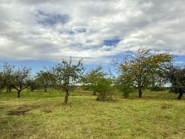 Działka budowlana Opole