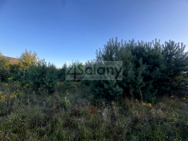 Działka budowlana WIELISZEW