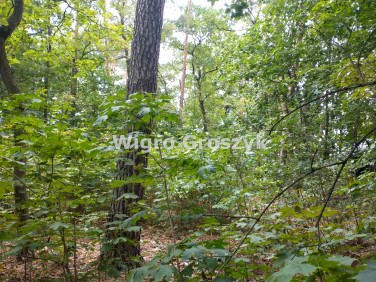 Działka budowlana Józefów