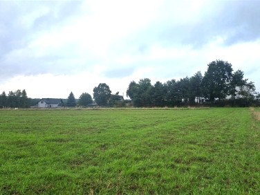 Działka budowlana Rybnik