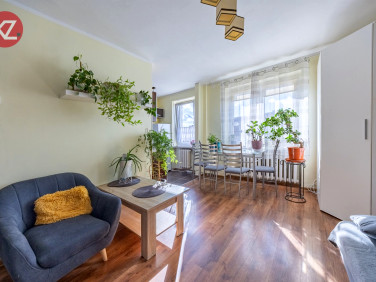 Mieszkanie Piła wynajem