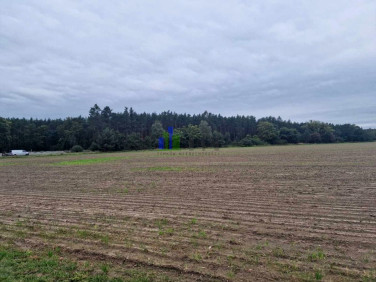 Działka budowlana Nowy Dwór