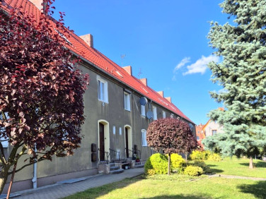 Mieszkanie Brzeg Dolny