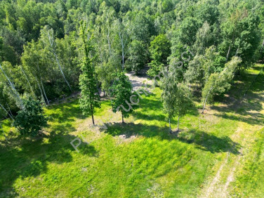 Działka budowlana Adamowizna