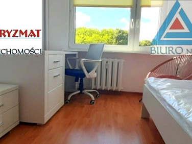 Pokój 1-osobowy Olsztyn