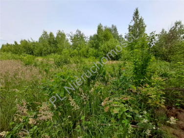 Działka budowlana Budy-Grzybek