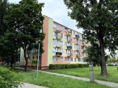 Mieszkanie Włocławek