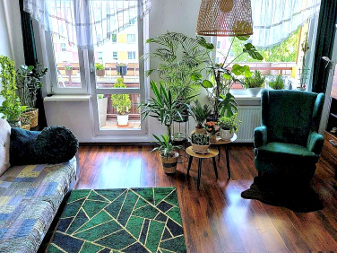 Mieszkanie Jelenia Góra