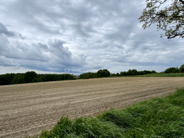 Działka budowlana Czernica
