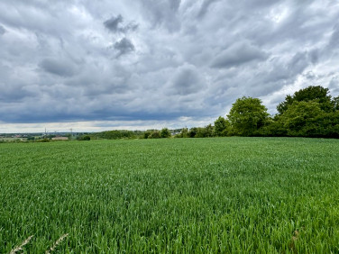 Działka budowlana Czernica