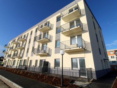 Mieszkanie Głogów sprzedaż