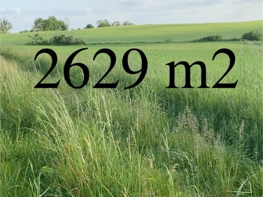 Działka rolna Wołów sprzedam