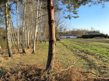 Zalesiona działka Lesznowola