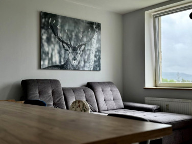 Mieszkanie Jelenia Góra