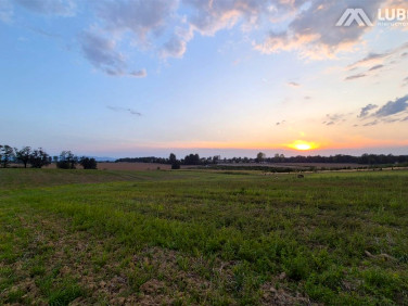 Działka Pisarzowice