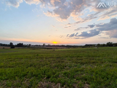 Działka budowlana Pisarzowice